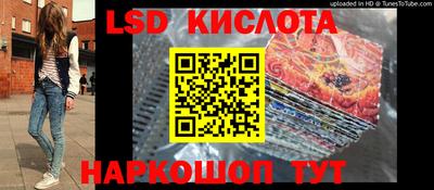 дживик Кингисепп