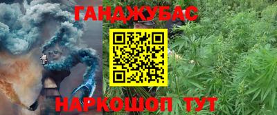 дживик Кингисепп