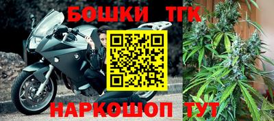 дживик Кингисепп