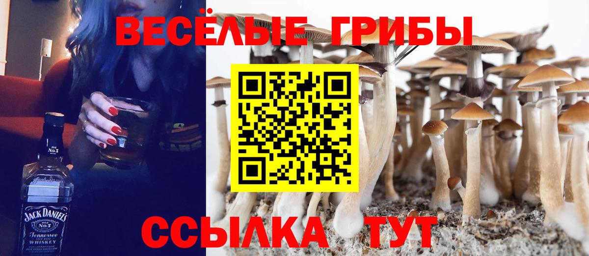Галлюциногенные грибы ЛСД  закладки  Керчь  Вход с VPN 