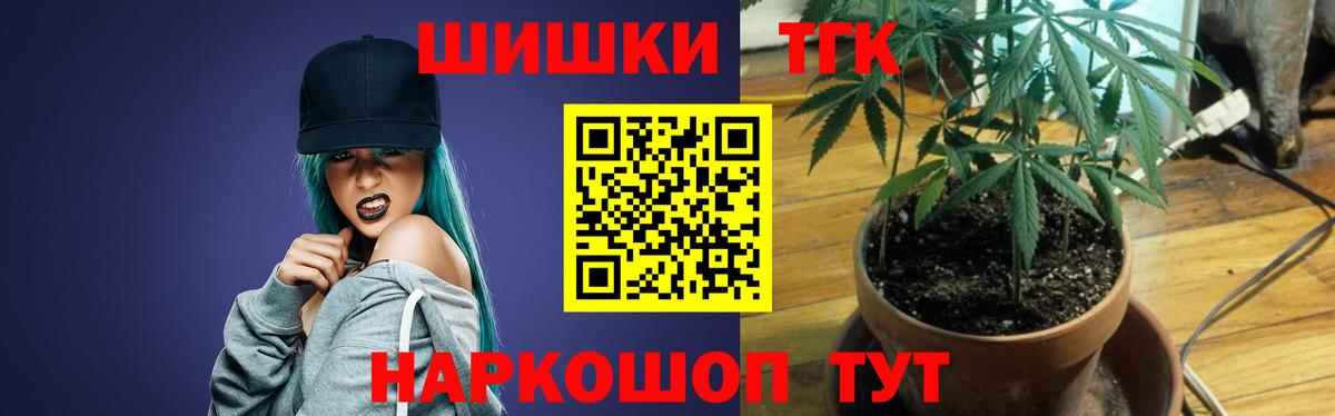 Бошки Шишки план Керчь